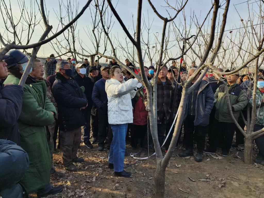 開展培訓到基層  技術服務送上門