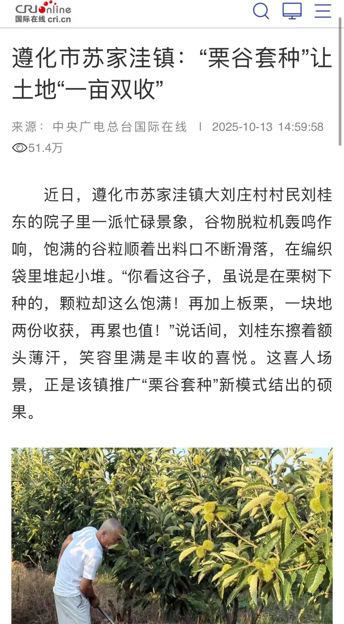 《國際在線》《環渤海新聞網》《唐山勞動日報》——遵化蘇家洼鎮“粟谷套種”激活林下經濟新動能